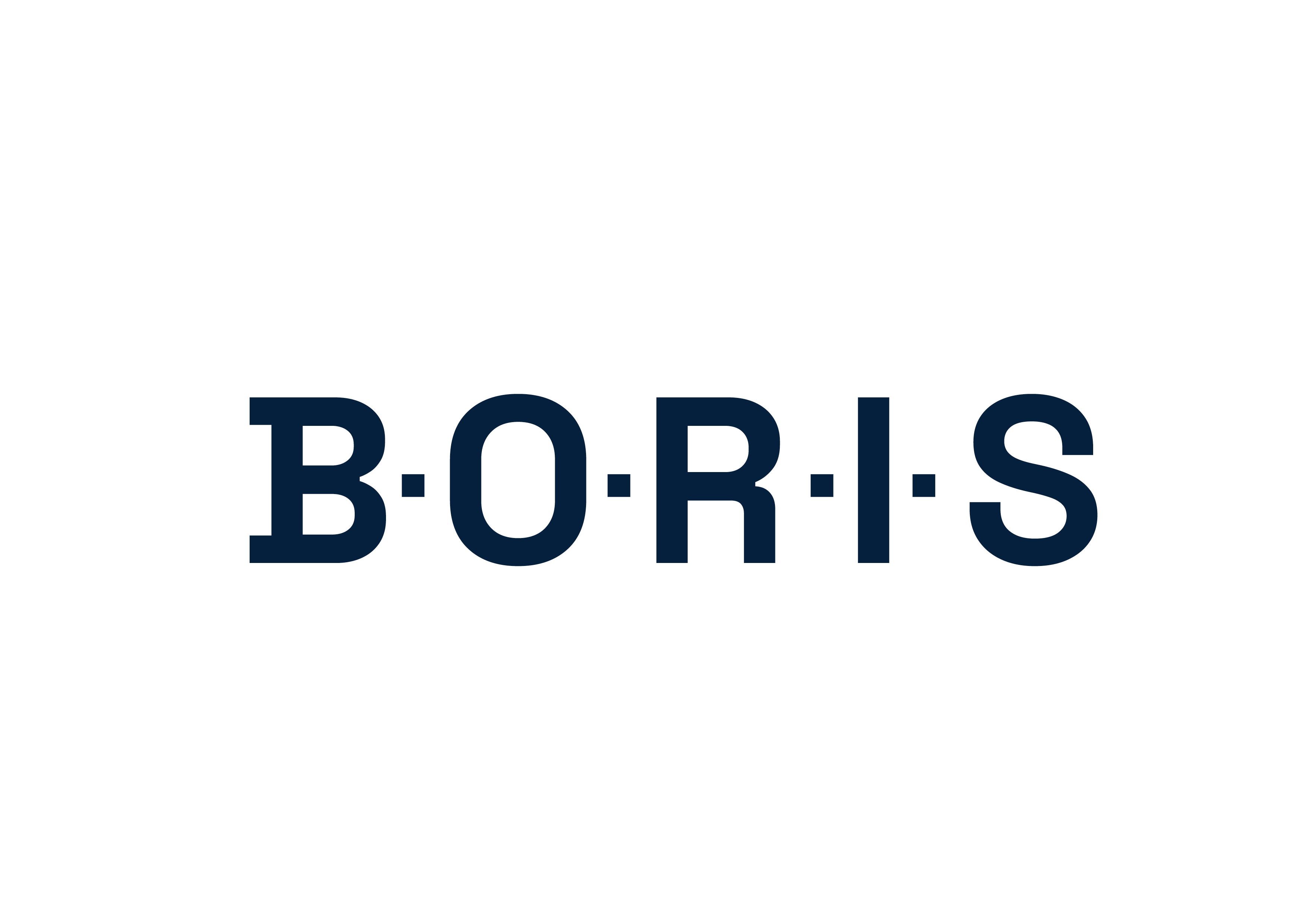 B.O.R.I.S